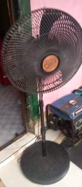 A picture of Ox standing fan