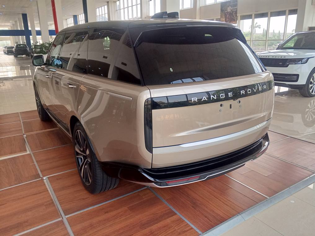 A picture of 2025 LWB WITH FULLY PAID DUTIES 700m
