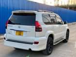 A picture of PRADO 120