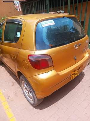 A picture of Vitz
