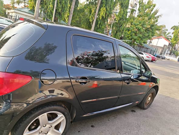 A picture of Peugeot 307