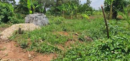 A picture of Quick plot for sale in matugga kavule town plot size