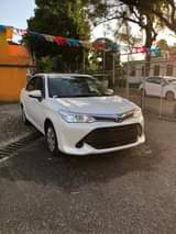 Sales M.