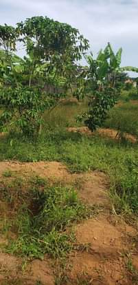 A picture of 3Plots for sale located garuga entebbe road just one km