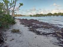 A picture of Beach plot inauzwa Kigamboni Manispaa BUYUNI CALL 0716888799 BEI MILION