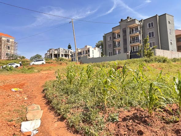 A picture of ANOTHER HOT DEAL 50 100FT PLOT AT 110M KIRA TOWN