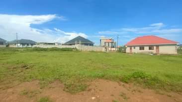 A picture of Plots For Sale At 60 Million Ugx Slightly Negotiable 50