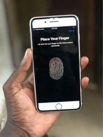 A picture of iPhone 7 Plus