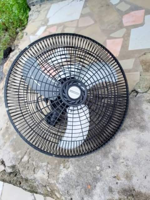 fans