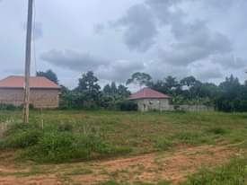 A picture of LAND 50 100FT PLOT ON SALE