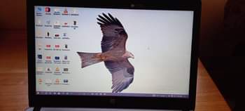 A picture of Hp laptop