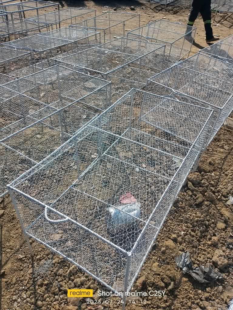 cages