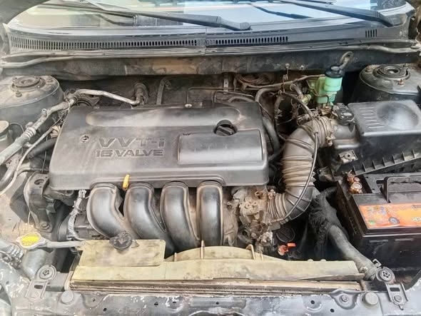 A picture of Toyota Corolla Sport 2004