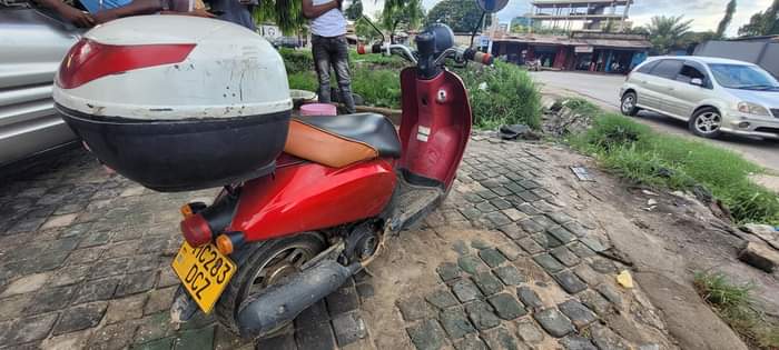 A picture of Pkpk cha safari