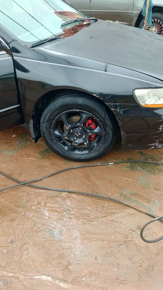 A picture of Honda Accord baby boy