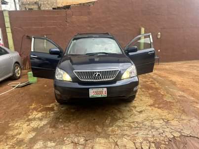 A picture of Registered 2006 Rx 330 baked from first body pan full