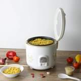 rice cooker