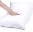 A picture of FIBRE PILLOWS AVAILABLE