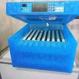 A picture of EGG INCUBATORS