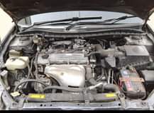 A picture of premio