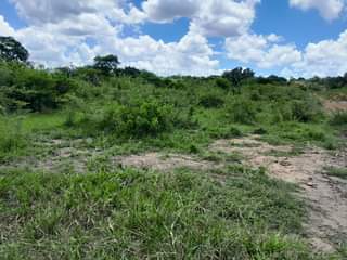 A picture of SHAMBA EKARI 10 LINAUZWA CHALINZE MJINI MKOA WA PWANI