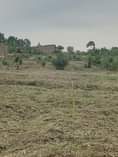 A picture of Plots on loan