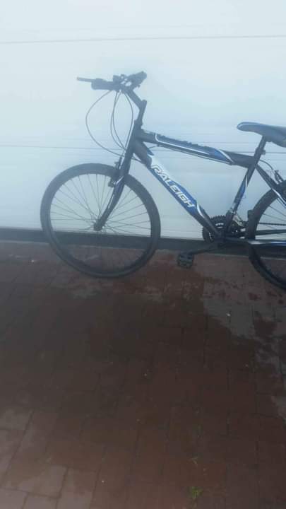 raleigh bicycles