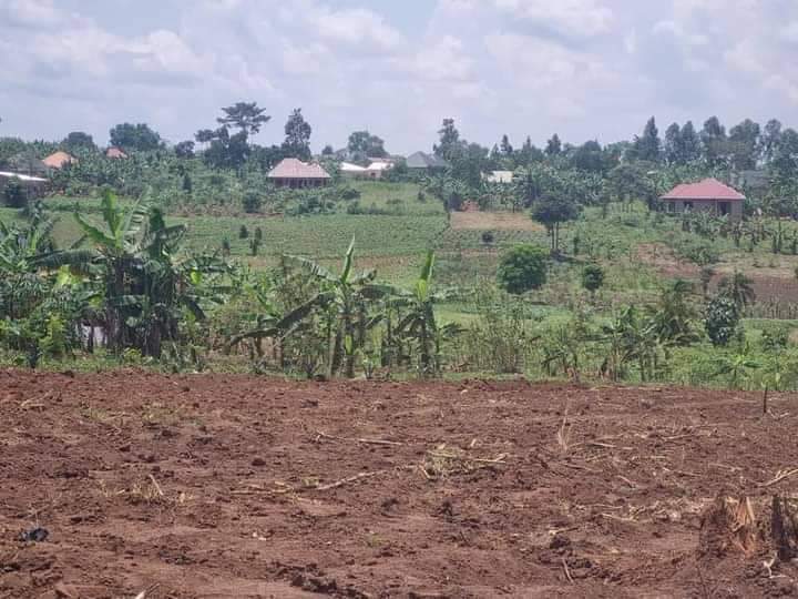 houses matugga
