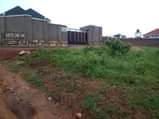 A picture of CHRISTMAS OFFER 50BY100 WITH READY LAND TITLE AT 20M NKOWE