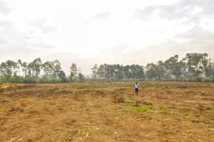A picture of Nansana Tow