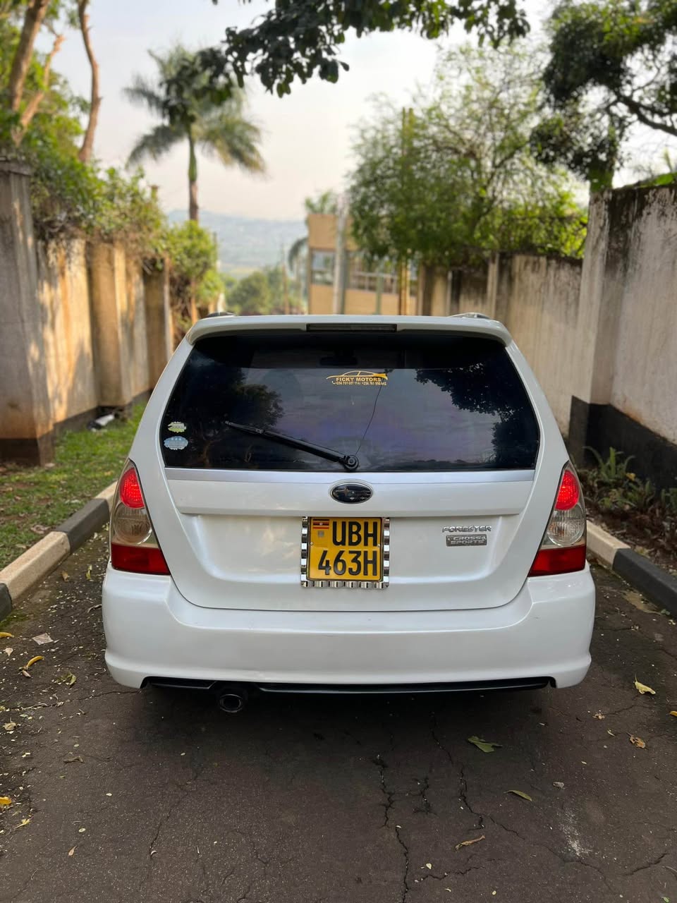 A picture of Subaru Cross spot
