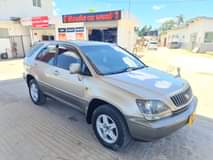A picture of 2002 harrier gold colour sports