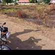 A picture of Viwanja