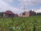 A picture of Commercial plots for sale in Matugga Kigogwa near Utamu university