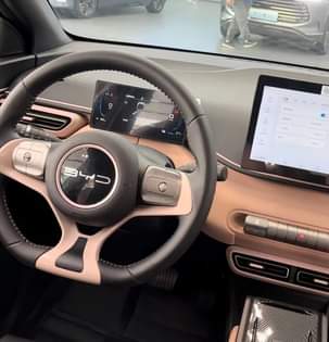 A picture of BYD