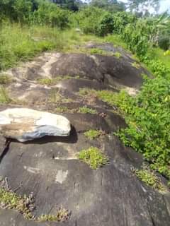 A picture of Rocks
