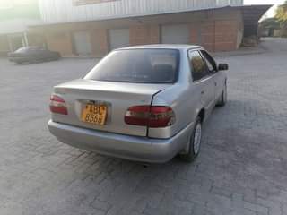 used toyota corolla