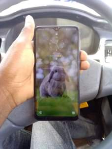 A picture of Samsang a10 gb32 ram2
