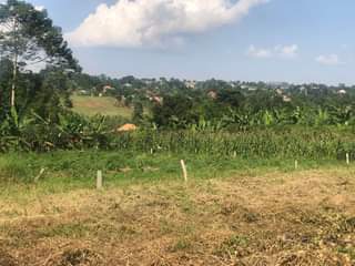 A picture of A PLOT OF LAND FOR SALE