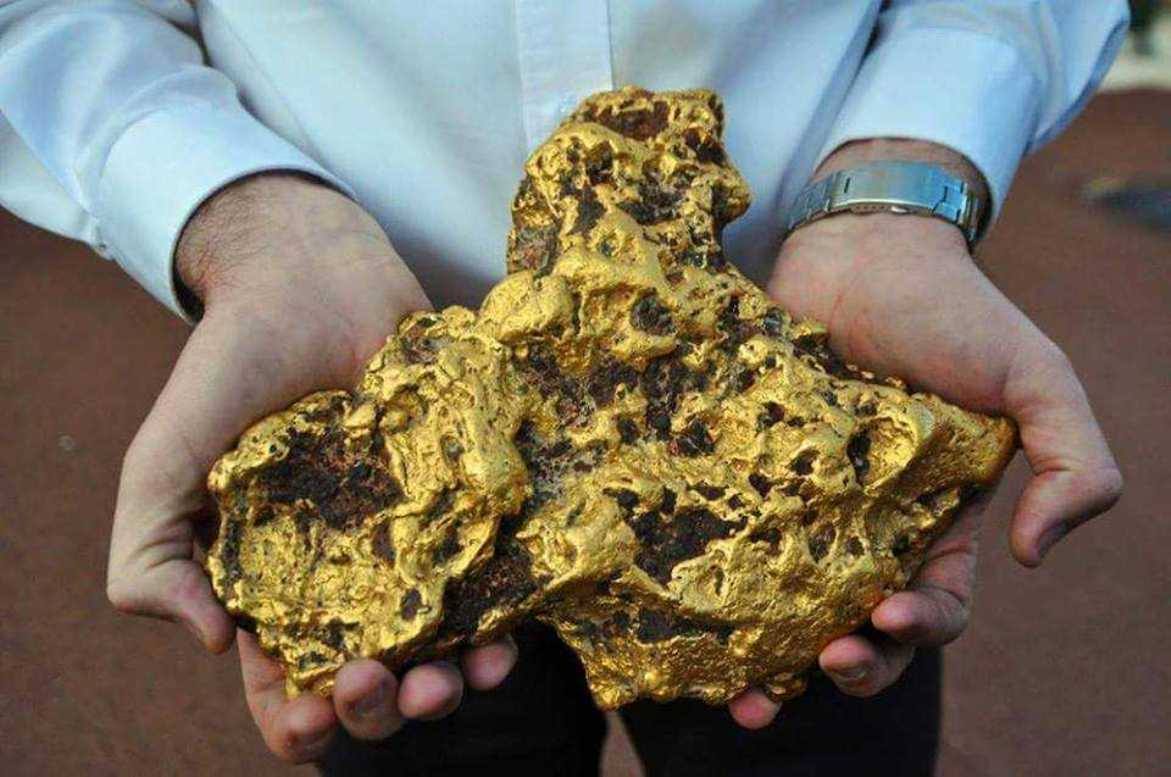 gold detector