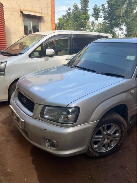 A picture of Forester cross sports money needed 14 8m only 0709242362