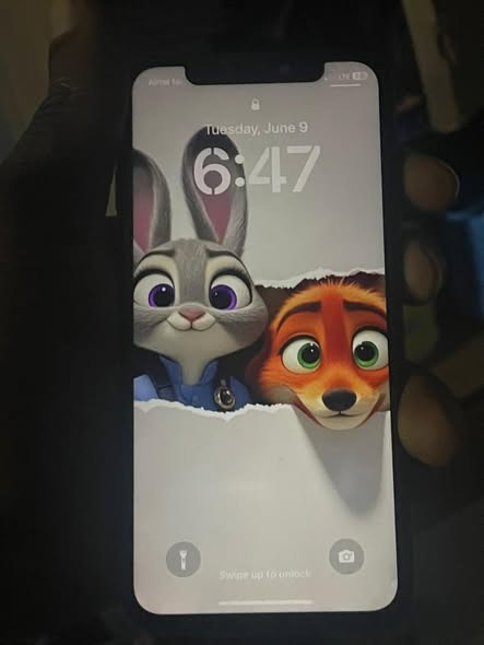 A picture of iPhone x