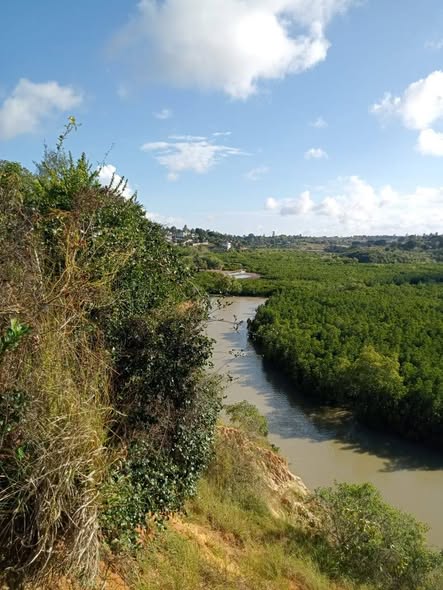 A picture of Lands for sell