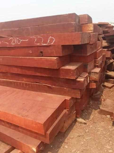 timber
