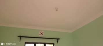 A picture of Singo yakawaida inapangishwa ngulelo