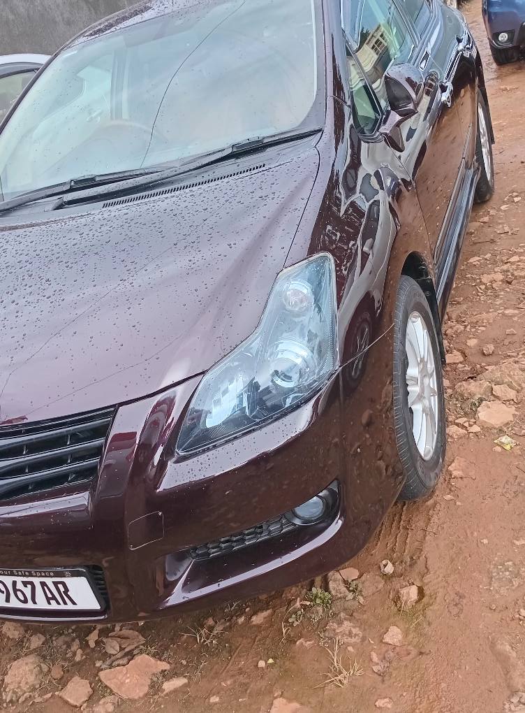 A picture of Toyota blade