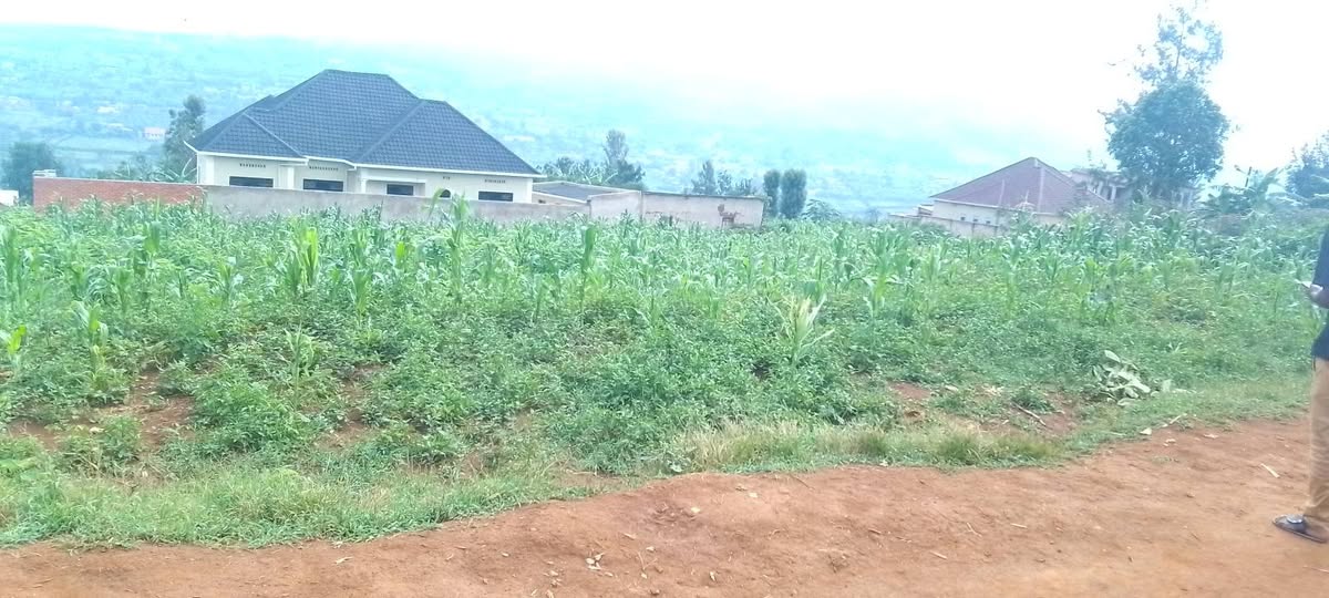 land
