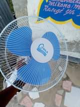 fans