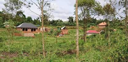 A picture of Plot 66ft by 20ft on quick sale in Lukwanga sentema