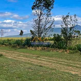 A picture of Nature s haven naivasha